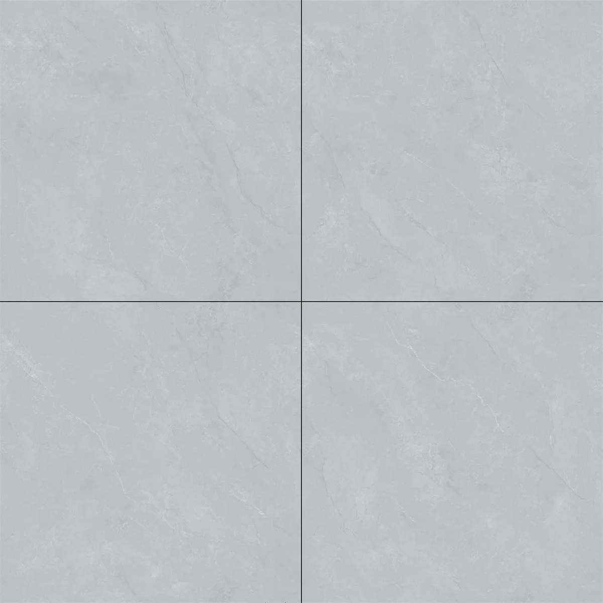 Pani Grey A8C5606-L ceramic tile surface