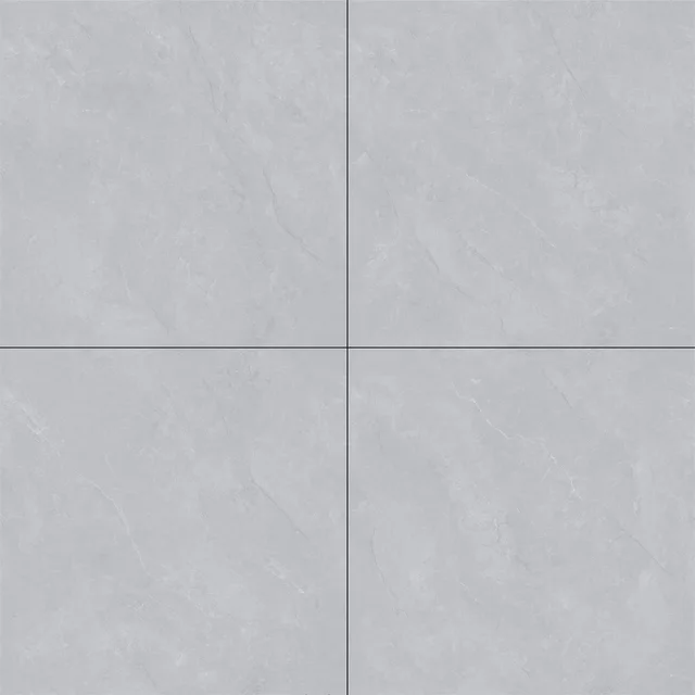 Pani Grey A8C5606-L ceramic surface