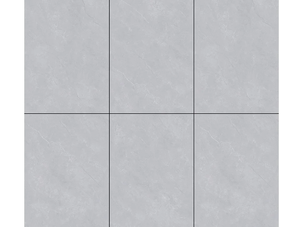 Pani Grey A612Y5606S-L ceramic tile surface